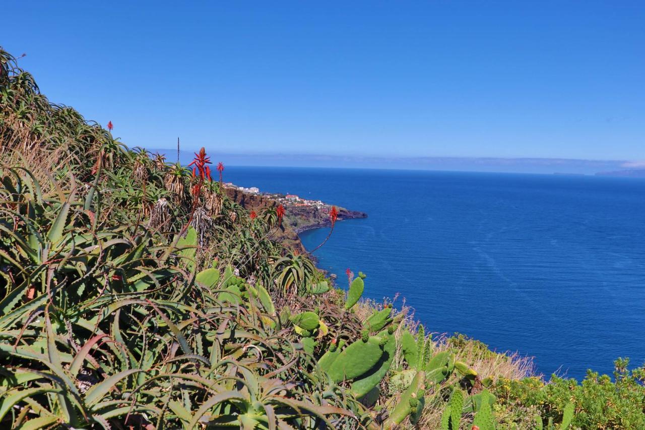 Pinto Coelho Canico (Madeira)